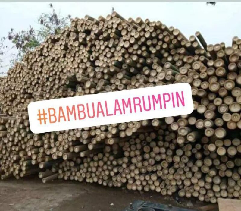 Bambu Alam