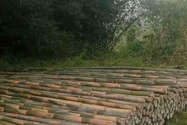 WhatsApp Image 2022-06-09 at 11.32.37 (1)